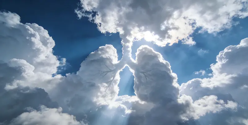 宁德肺癌12基因ctDNA突变检测(血液）图片1