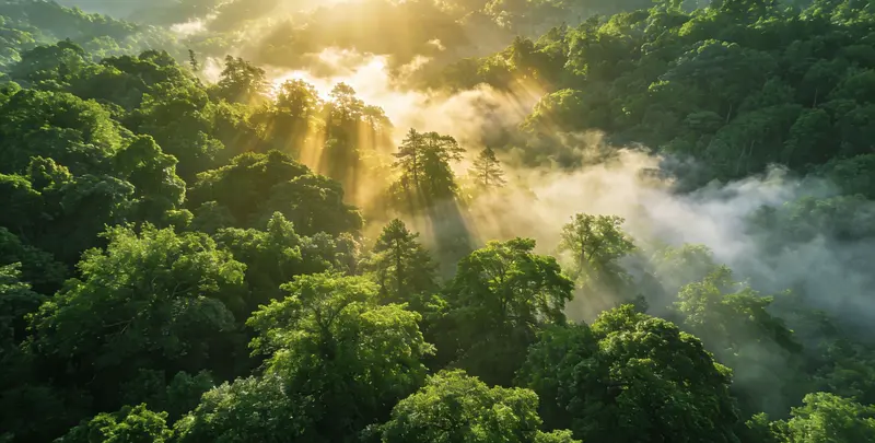 宁德肺癌68基因检测图片1