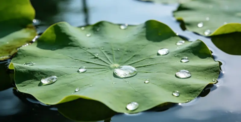 宁德乳腺癌21基因mRNA表达分析图片1