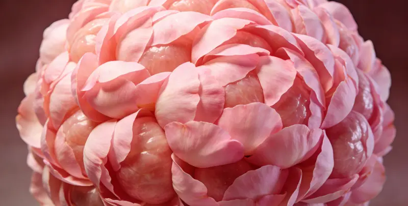 宁德BRCA1/2乳腺癌卵巢癌基因检测图片1